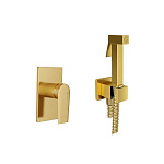 Гигиенический душ WasserKRAFT Aisch 5500 A55094 матовое золото
